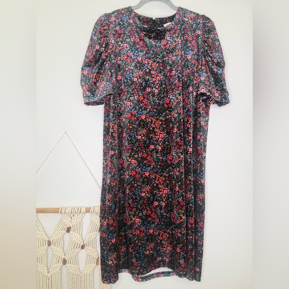 Molly Bracken dress mini floral print velvet with short balloon sleeves velour